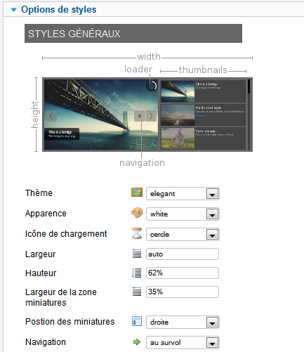 playlistck options styles1 fr